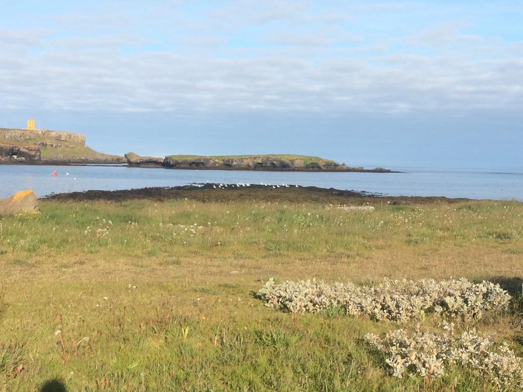 Solsetur Guesthouse Raufarhöfn Exteriör bild